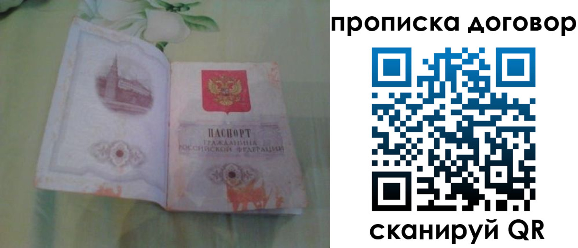 временная регистрация гарантия в Щиграх